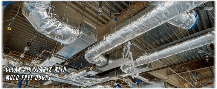 Air Duct Mold Removal in Schaumburg IL